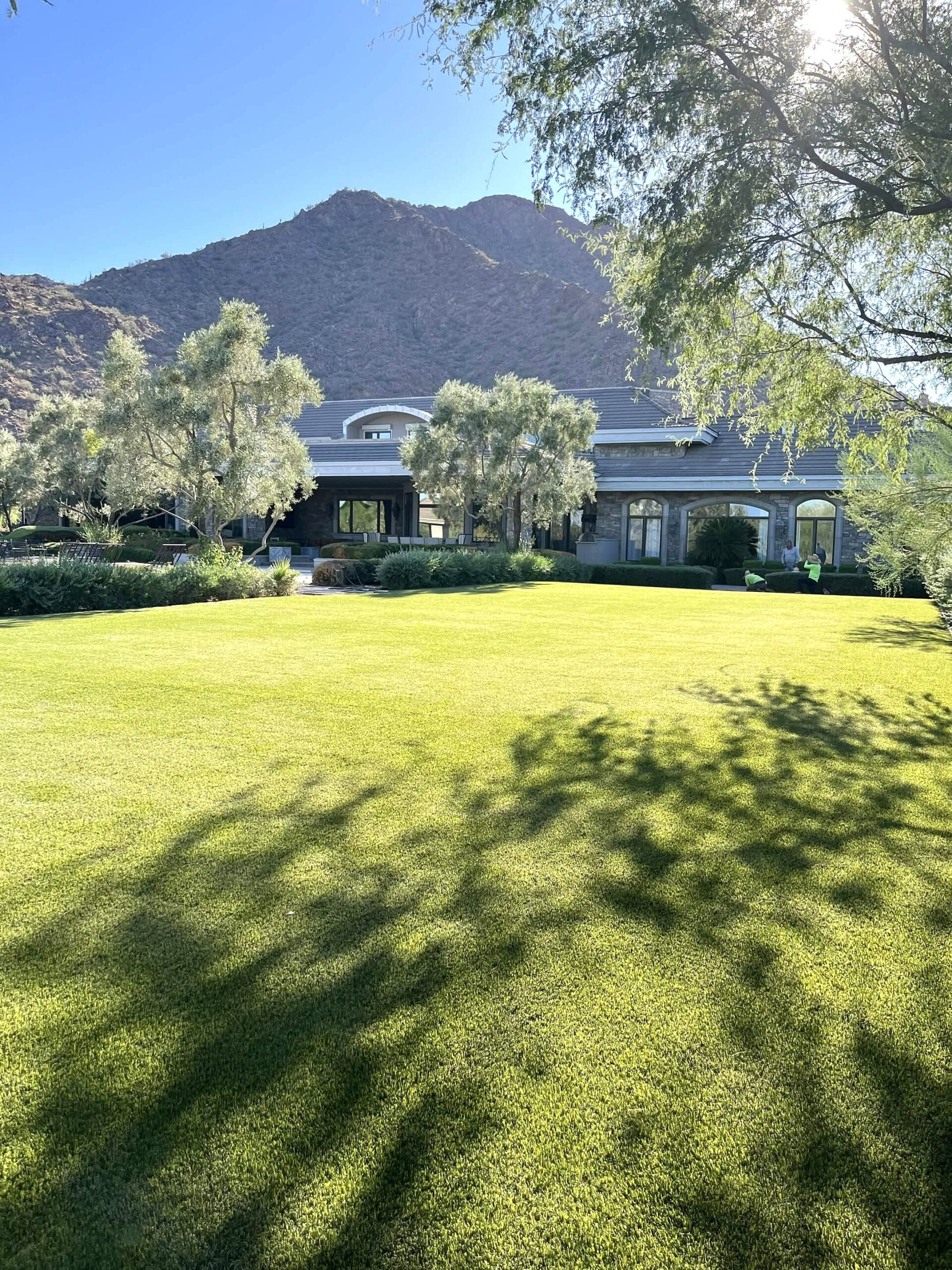 Artificial turf in Arizona: a front yard lawn installed by Turfscapes of Arizona