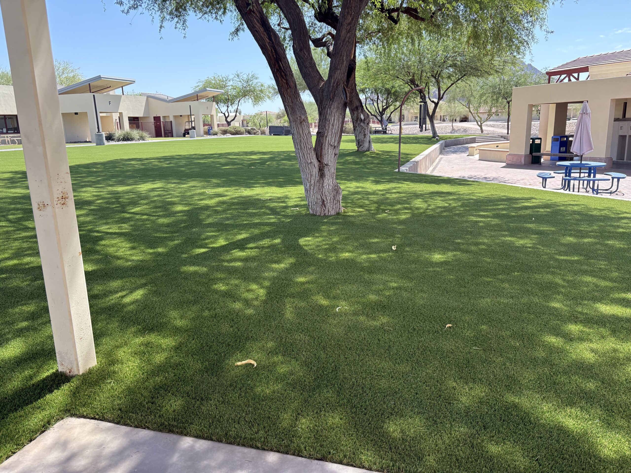 Artificial turf in Arizona for schools and playgrounds.